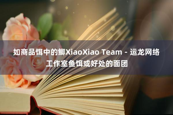 如商品饵中的鲫XiaoXiao Team - 运龙网络工作室鱼饵或好处的面团