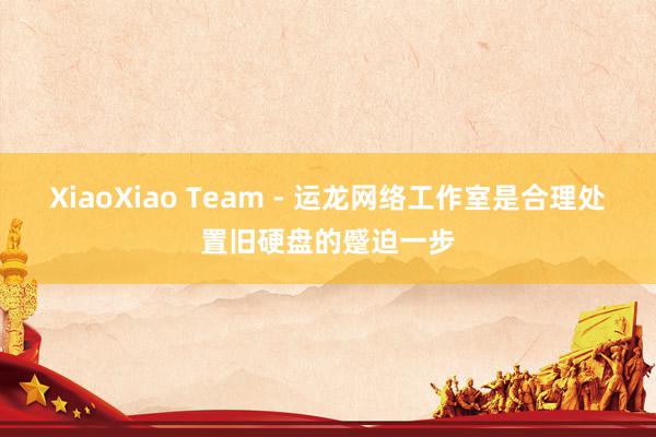 XiaoXiao Team - 运龙网络工作室是合理处置旧硬盘的蹙迫一步